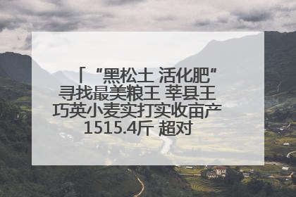 “黑松土 活化肥”寻找最美粮王 莘县王巧英小麦实打实收亩产1515.4斤 超对照田144斤！
