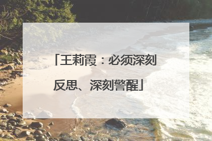 王莉霞：必须深刻反思、深刻警醒