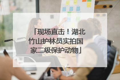 现场直击！湖北竹山护林员实拍国家二级保护动物
