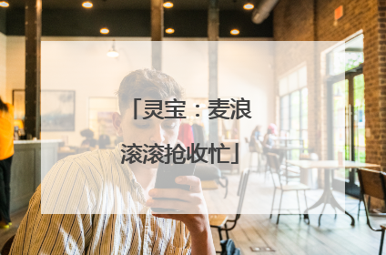 灵宝：麦浪滚滚抢收忙