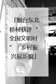 烟台东北桥村获评“全国文明村”：乡村振兴展新貌