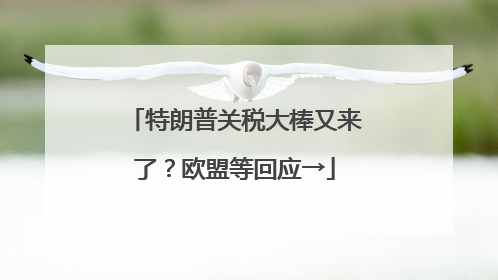 特朗普关税大棒又来了？欧盟等回应→