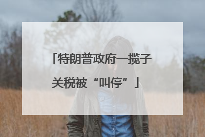 特朗普政府一揽子关税被“叫停”