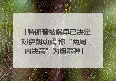 特朗普被曝早已决定对伊朗动武 称“两周内决策”为烟雾弹