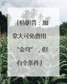特朗普：加拿大可免费用“金穹”，但有个条件