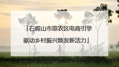 石嘴山市惠农区电商引擎驱动乡村振兴焕发新活力