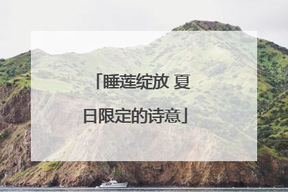 睡莲绽放 夏日限定的诗意