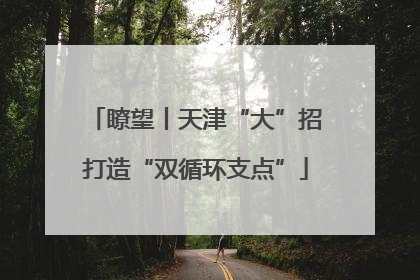 瞭望丨天津“大”招打造“双循环支点”