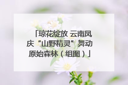 琼花绽放 云南凤庆“山野精灵”舞动原始森林（组图）