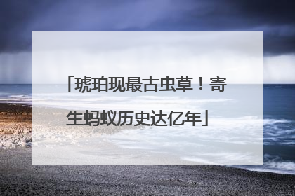 琥珀现最古虫草！寄生蚂蚁历史达亿年