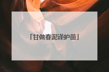 甘做春泥谨护苗