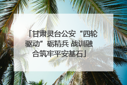 甘肃灵台公安“四轮驱动”砺精兵 战训融合筑牢平安基石