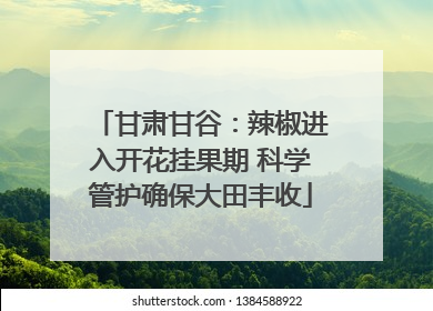 甘肃甘谷：辣椒进入开花挂果期 科学管护确保大田丰收