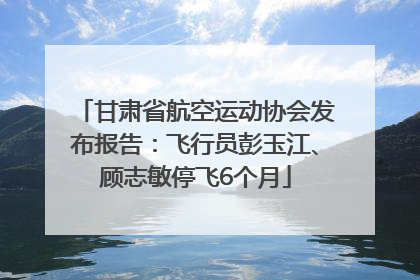 甘肃省航空运动协会发布报告：飞行员彭玉江、顾志敏停飞6个月