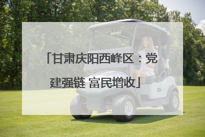 甘肃庆阳西峰区：党建强链 富民增收