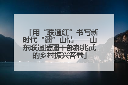 用“联通红”书写新时代“疆”山情——山东联通援疆干部郝兆武的乡村振兴答卷