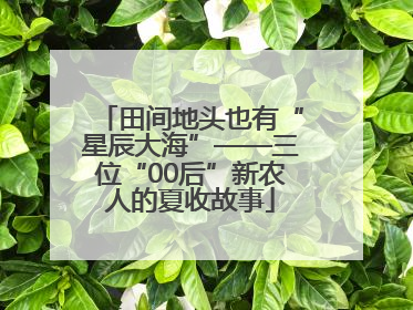 田间地头也有“星辰大海”——三位“00后”新农人的夏收故事