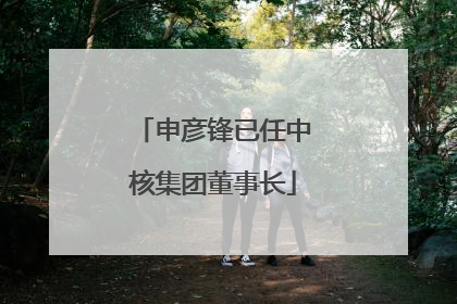申彦锋已任中核集团董事长