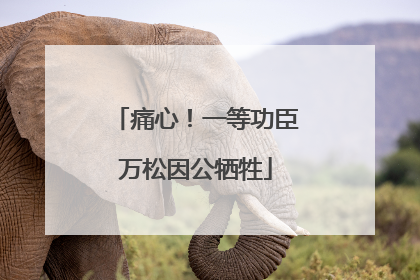 痛心！一等功臣万松因公牺牲