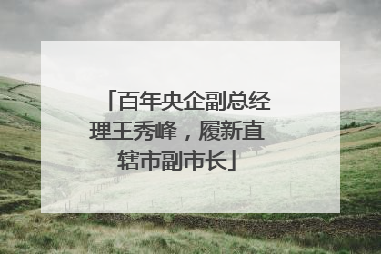 百年央企副总经理王秀峰，履新直辖市副市长