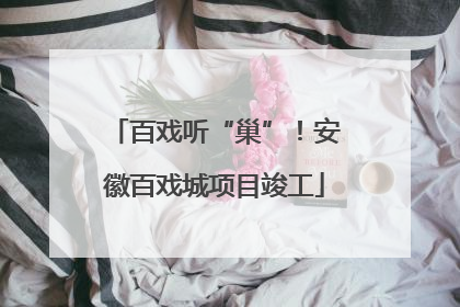 百戏听“巢”！安徽百戏城项目竣工