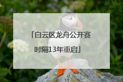 白云区龙舟公开赛时隔13年重启