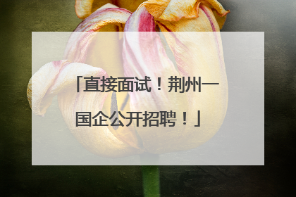 直接面试！荆州一国企公开招聘！