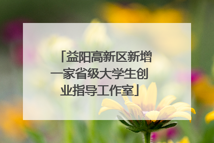 益阳高新区新增一家省级大学生创业指导工作室