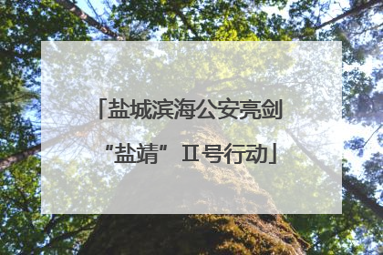 盐城滨海公安亮剑“盐靖”Ⅱ号行动