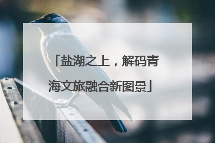 盐湖之上，解码青海文旅融合新图景