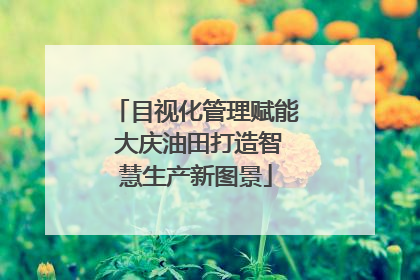 目视化管理赋能 大庆油田打造智慧生产新图景