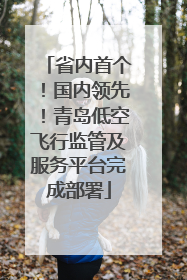 省内首个！国内领先！青岛低空飞行监管及服务平台完成部署