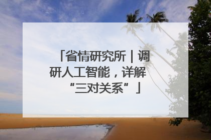 省情研究所｜调研人工智能，详解“三对关系”