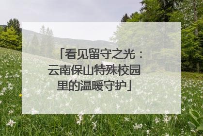 看见留守之光：云南保山特殊校园里的温暖守护