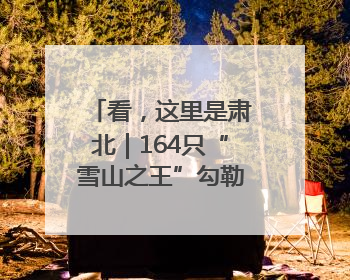 看，这里是肃北｜164只“雪山之王”勾勒生态新图景