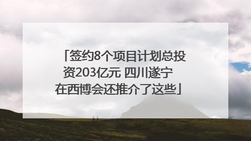 签约8个项目计划总投资203亿元 四川遂宁在西博会还推介了这些