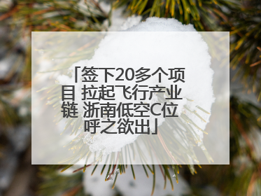 签下20多个项目 拉起飞行产业链 浙南低空C位呼之欲出