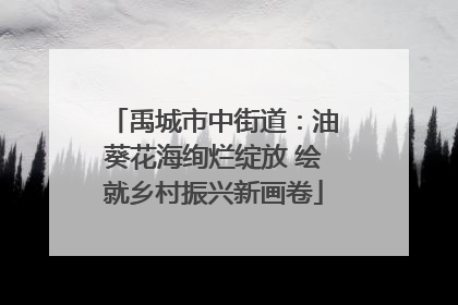 禹城市中街道：油葵花海绚烂绽放 绘就乡村振兴新画卷