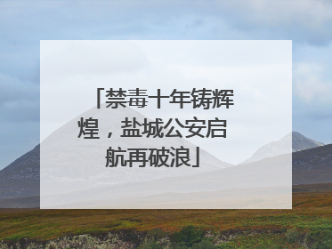 禁毒十年铸辉煌，盐城公安启航再破浪