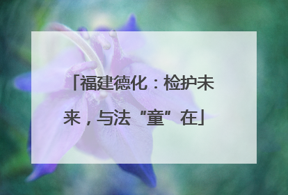 福建德化：检护未来，与法“童”在