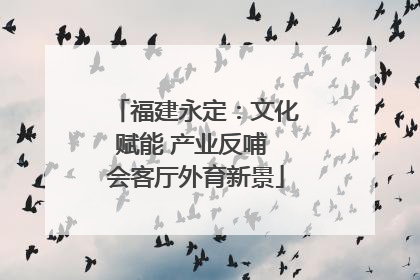 福建永定：文化赋能 产业反哺 会客厅外育新景