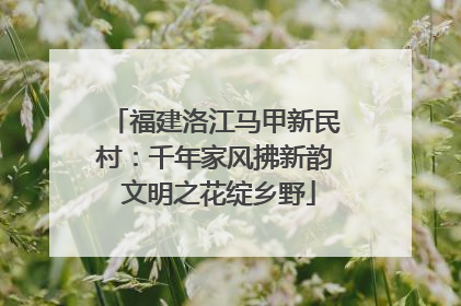 福建洛江马甲新民村：千年家风拂新韵 文明之花绽乡野