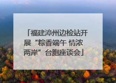 福建漳州边检站开展“粽香端午 情浓两岸”台胞座谈会
