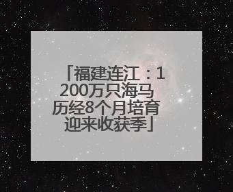 福建连江：1200万只海马历经8个月培育 迎来收获季
