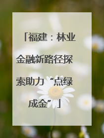 福建：林业金融新路径探索助力“点绿成金”