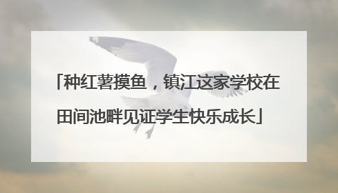 种红薯摸鱼，镇江这家学校在田间池畔见证学生快乐成长
