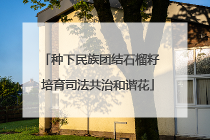 种下民族团结石榴籽 培育司法共治和谐花