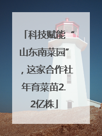 科技赋能“山东南菜园”，这家合作社年育菜苗2.2亿株