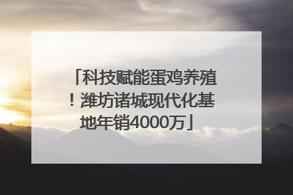 科技赋能蛋鸡养殖！潍坊诸城现代化基地年销4000万