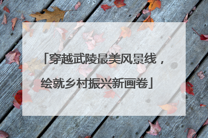 穿越武陵最美风景线，绘就乡村振兴新画卷
